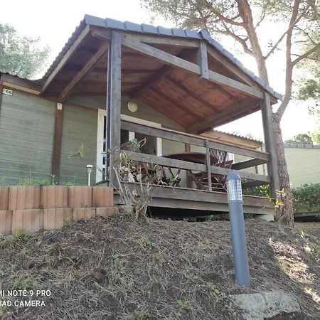 Alpehytte Dans Avec Piscine *